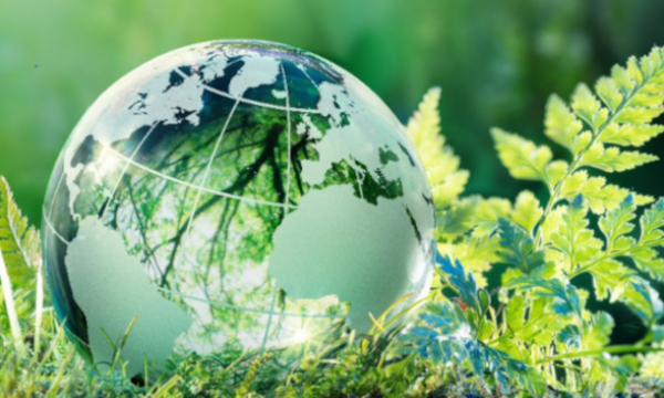  Green Office - UNIFI.